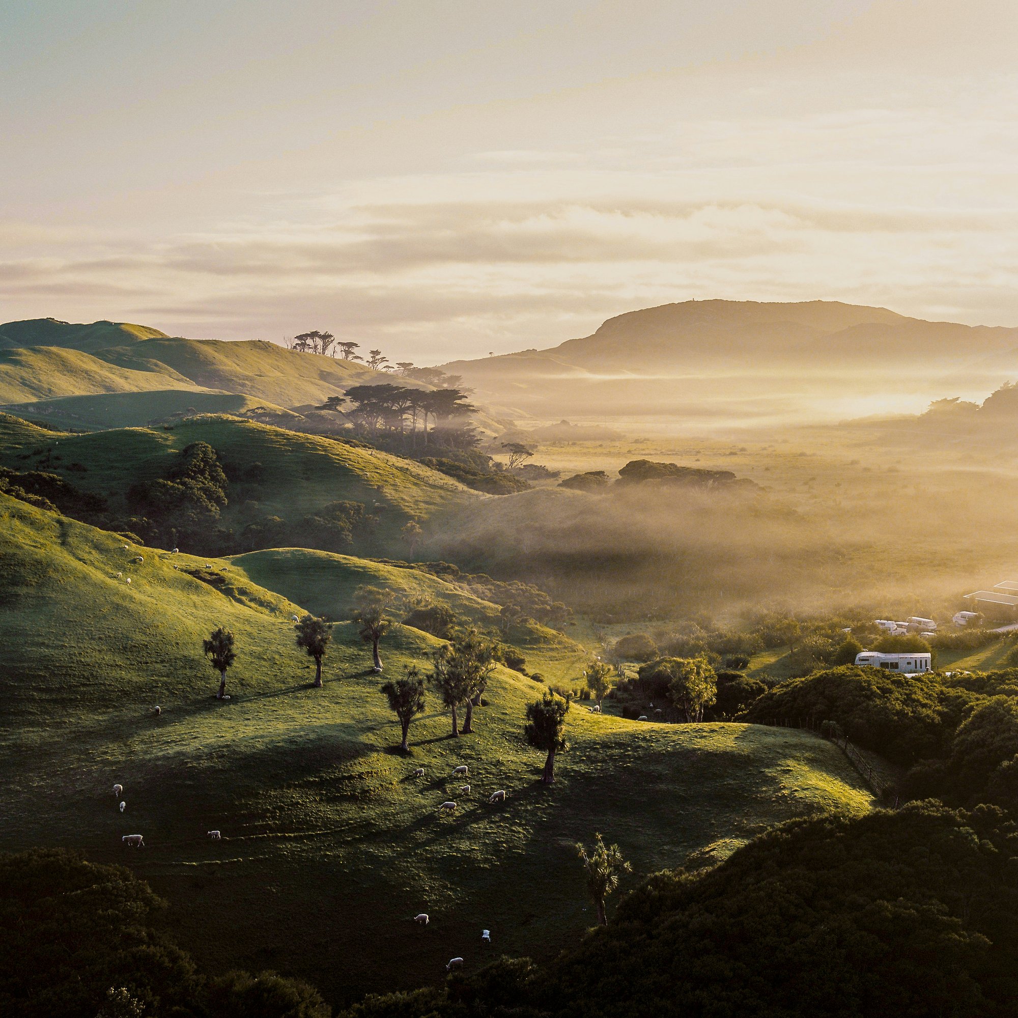 boon-panthalany-uOszz6FdXGQ-unsplash boon-panthalany-uOszz6FdXGQ-unsplash